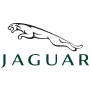 About logo 10.png